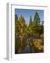 USA, Minnesota, Itasca State Park-Peter Hawkins-Framed Photographic Print