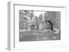 USA, Minnesota, Itasca State Park-Peter Hawkins-Framed Photographic Print