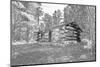 USA, Minnesota, Itasca State Park-Peter Hawkins-Mounted Photographic Print