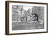 USA, Minnesota, Itasca State Park-Peter Hawkins-Framed Photographic Print