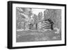 USA, Minnesota, Itasca State Park-Peter Hawkins-Framed Photographic Print