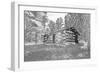 USA, Minnesota, Itasca State Park-Peter Hawkins-Framed Photographic Print