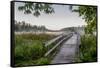 USA, Minnesota, Itasca State Park-Peter Hawkins-Framed Stretched Canvas