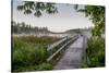 USA, Minnesota, Itasca State Park-Peter Hawkins-Stretched Canvas