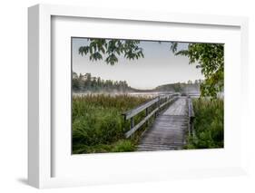 USA, Minnesota, Itasca State Park-Peter Hawkins-Framed Photographic Print