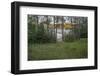 USA, Minnesota, La Salle Lake State Recreation Area boat launch-Peter Hawkins-Framed Photographic Print