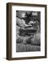 USA, Minnesota, La Salle State Recreation area-Peter Hawkins-Framed Photographic Print