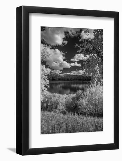 USA, Minnesota, La Salle State Recreation area-Peter Hawkins-Framed Photographic Print