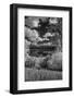 USA, Minnesota, La Salle State Recreation area-Peter Hawkins-Framed Photographic Print