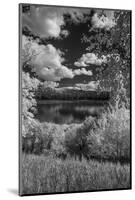 USA, Minnesota, La Salle State Recreation area-Peter Hawkins-Mounted Photographic Print