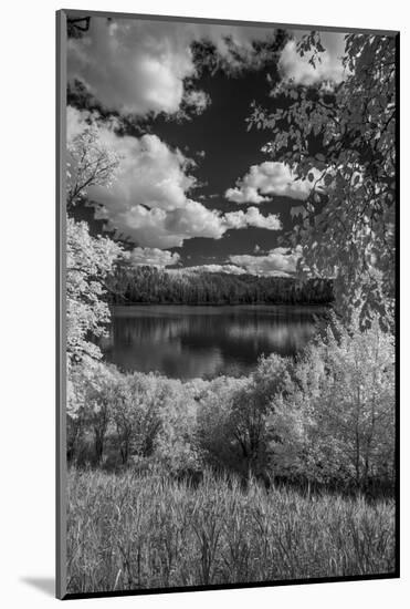 USA, Minnesota, La Salle State Recreation area-Peter Hawkins-Mounted Photographic Print