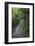 USA, Minnesota, La Salle State Recreation Area-Peter Hawkins-Framed Photographic Print