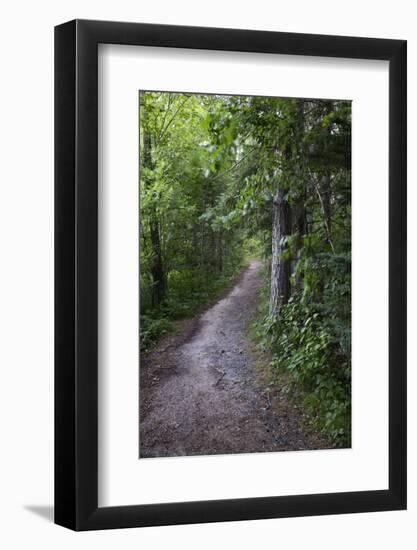 USA, Minnesota, La Salle State Recreation Area-Peter Hawkins-Framed Photographic Print