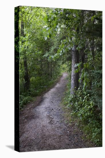 USA, Minnesota, La Salle State Recreation Area-Peter Hawkins-Stretched Canvas