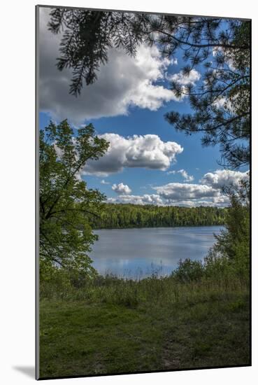 USA, Minnesota, La Salle State Recreation area-Peter Hawkins-Mounted Photographic Print