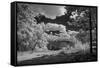 USA, Minnesota, La Salle State Recreation area-Peter Hawkins-Framed Stretched Canvas