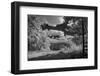 USA, Minnesota, La Salle State Recreation area-Peter Hawkins-Framed Photographic Print