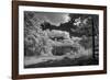 USA, Minnesota, La Salle State Recreation area-Peter Hawkins-Framed Photographic Print