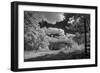 USA, Minnesota, La Salle State Recreation area-Peter Hawkins-Framed Photographic Print