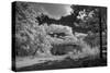 USA, Minnesota, La Salle State Recreation area-Peter Hawkins-Stretched Canvas