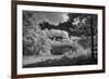 USA, Minnesota, La Salle State Recreation area-Peter Hawkins-Framed Photographic Print