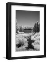 USA, Minnesota, La Salle State Recreation Area-Peter Hawkins-Framed Photographic Print