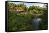 USA, Minnesota, La Salle State Recreation Area-Peter Hawkins-Framed Stretched Canvas