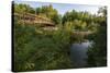 USA, Minnesota, La Salle State Recreation Area-Peter Hawkins-Stretched Canvas