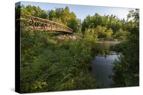 USA, Minnesota, La Salle State Recreation Area-Peter Hawkins-Stretched Canvas