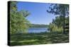 USA, Minnesota, La Salle State Recreation area-Peter Hawkins-Stretched Canvas