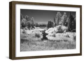 USA, Minnesota, La Salle State Recreation Area-Peter Hawkins-Framed Photographic Print