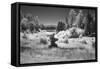 USA, Minnesota, La Salle State Recreation Area-Peter Hawkins-Framed Stretched Canvas