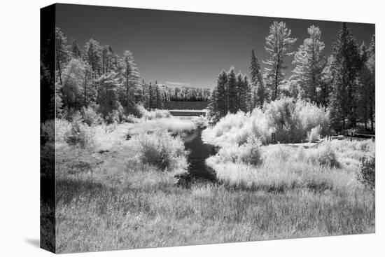 USA, Minnesota, La Salle State Recreation Area-Peter Hawkins-Stretched Canvas