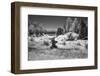 USA, Minnesota, La Salle State Recreation Area-Peter Hawkins-Framed Photographic Print