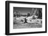 USA, Minnesota, La Salle State Recreation Area-Peter Hawkins-Framed Photographic Print