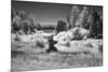 USA, Minnesota, La Salle State Recreation Area-Peter Hawkins-Mounted Photographic Print