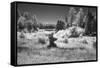 USA, Minnesota, La Salle State Recreation Area-Peter Hawkins-Framed Stretched Canvas