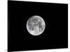 USA, Minnesota, Mendota Heights, Super Moon-Bernard Friel-Stretched Canvas