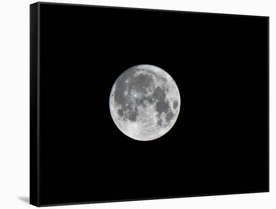 USA, Minnesota, Mendota Heights, Super Moon-Bernard Friel-Framed Stretched Canvas