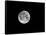 USA, Minnesota, Mendota Heights, Super Moon-Bernard Friel-Framed Stretched Canvas