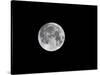 USA, Minnesota, Mendota Heights, Super Moon-Bernard Friel-Stretched Canvas