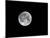 USA, Minnesota, Mendota Heights, Super Moon-Bernard Friel-Mounted Photographic Print