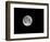 USA, Minnesota, Mendota Heights, Super Moon-Bernard Friel-Framed Photographic Print