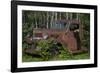 USA, Minnesota, Sandstone, Bear Cub and Old Truck-Hollice Looney-Framed Photographic Print