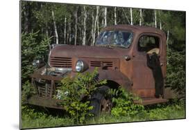 USA, Minnesota, Sandstone, Bear Cub and Old Truck-Hollice Looney-Mounted Photographic Print