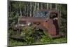 USA, Minnesota, Sandstone, Bear Cub and Old Truck-Hollice Looney-Mounted Photographic Print