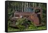 USA, Minnesota, Sandstone, Bear Cub and Old Truck-Hollice Looney-Framed Stretched Canvas