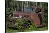 USA, Minnesota, Sandstone, Bear Cub and Old Truck-Hollice Looney-Stretched Canvas