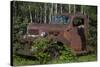 USA, Minnesota, Sandstone, Bear Cub and Old Truck-Hollice Looney-Stretched Canvas