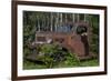 USA, Minnesota, Sandstone, Bear Cub and Old Truck-Hollice Looney-Framed Photographic Print